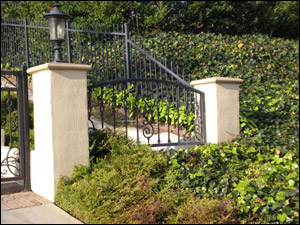 wrought iron stair cases, wrought iron railings, ornamental wrought iron driveway gates
